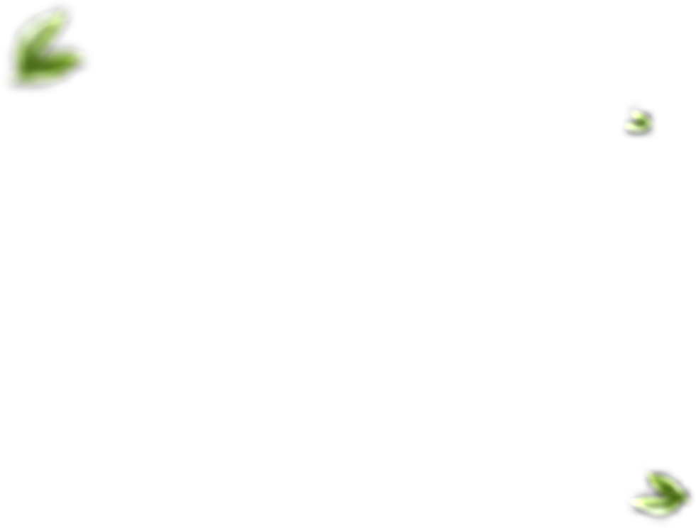 dc5c2c2f038594618c1b58b2993ad39e copy 2